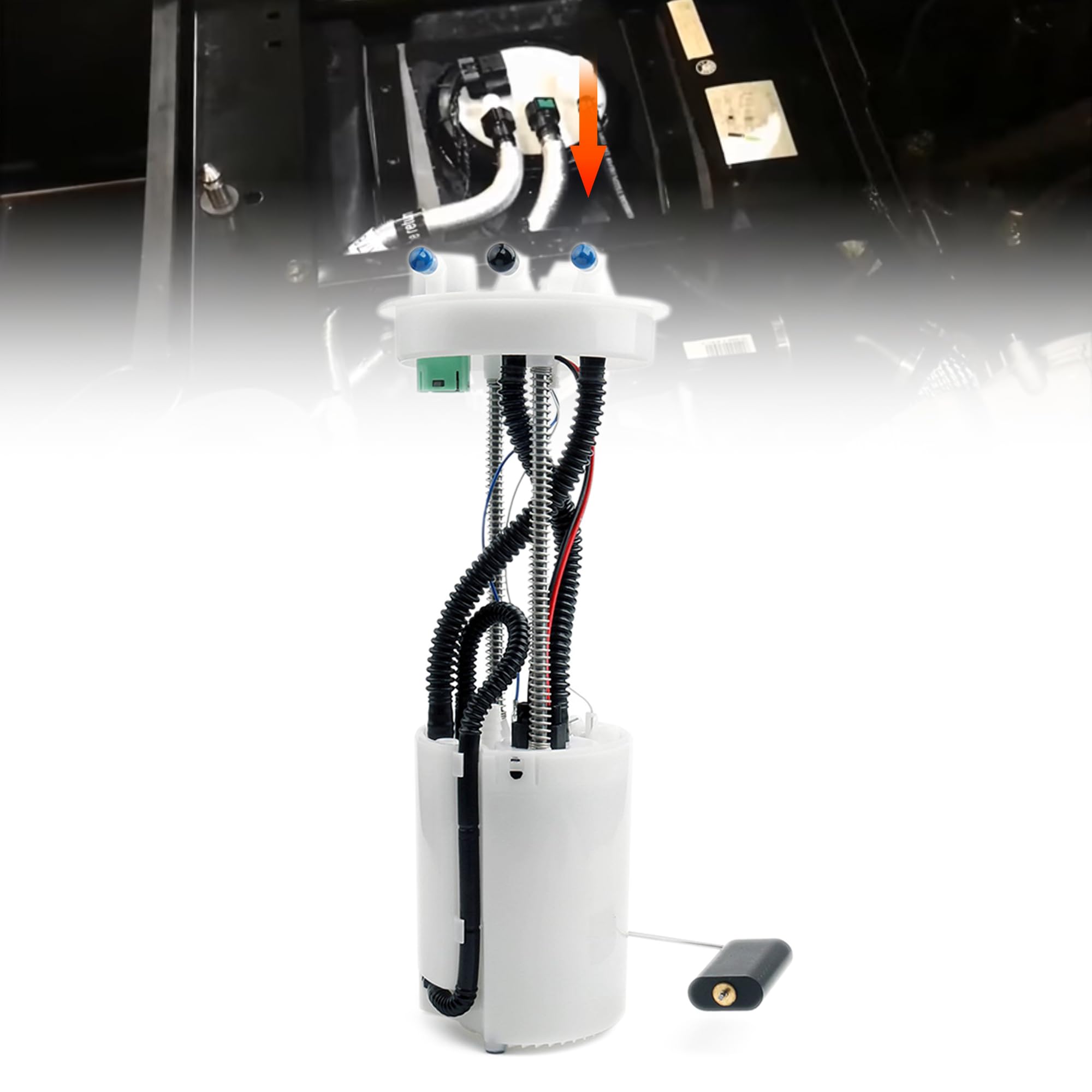 kanustin refomed 23aw H-M-D CASTRO Amazon.com: QYMOTO Fuel Pump Compatible with Hisun UTV